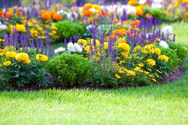 Flower Bed Maintenance in Manchester