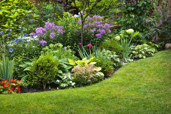 Flower Bed Service in Manchester