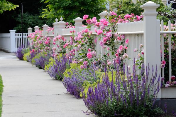Garden Handyman Service in Manchester