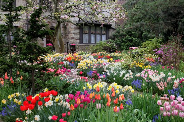 Garden Maintenance Service in Manchester