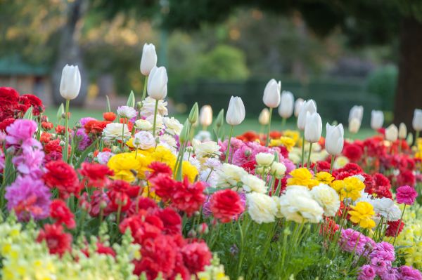 Gardening Service in Manchester
