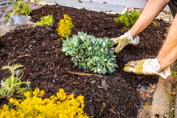 Weeding And Mulching in Manchester