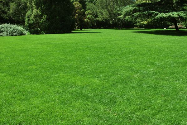 Lawn Landscaping in Manchester