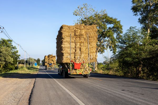 Pine Straw Delivery in Manchester