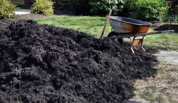 Black Mulch Delivery in Manchester