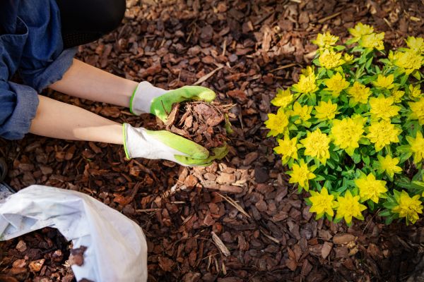 Garden Mulching in Manchester