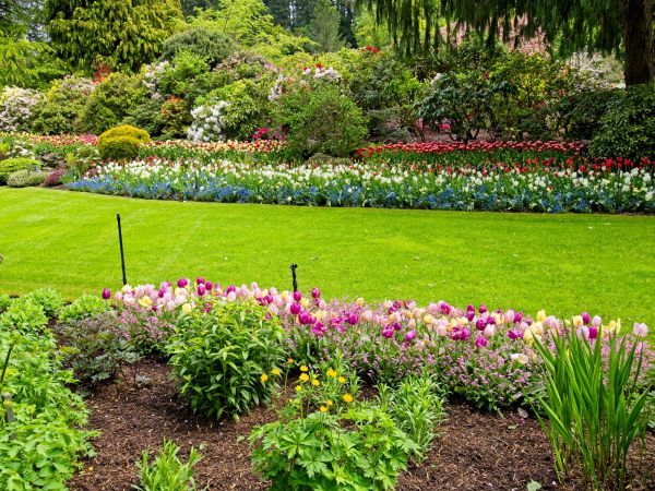 Residential Landscape Design in Manchester