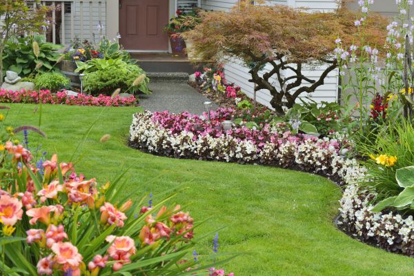 Perennial Landscaping in Manchester