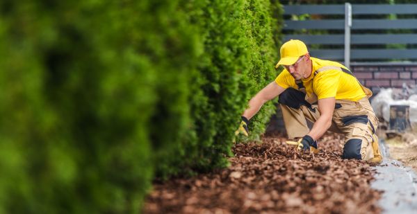 Cypress Mulch Installation in Manchester