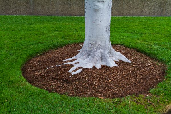 Brown Mulch Installation in Manchester
