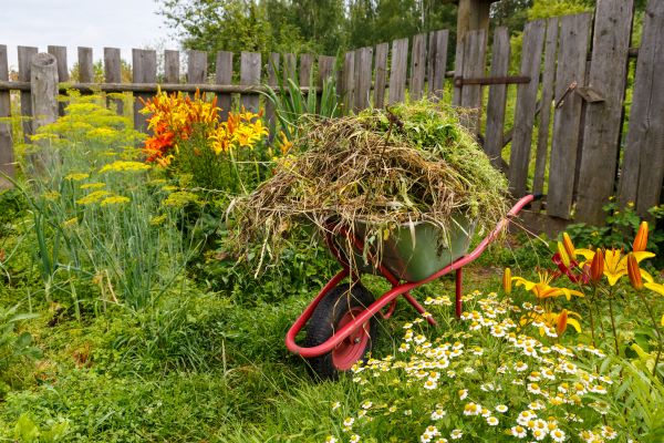 Garden Cleanup Service in Manchester