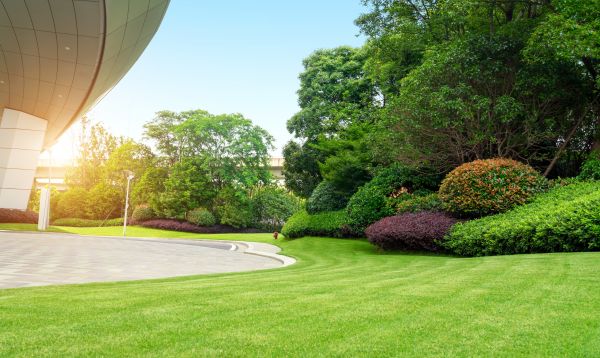 Business Landscape Design in Manchester