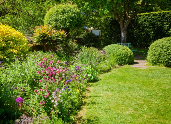 Yard Landscaping Service in Manchester