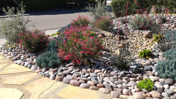Xeriscape Landscaping in Manchester