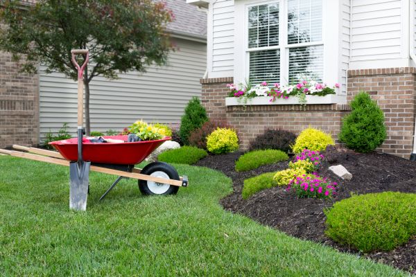 Tree And Shrub Planting in Manchester
