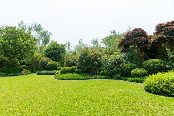 Tree Landscaping in Manchester