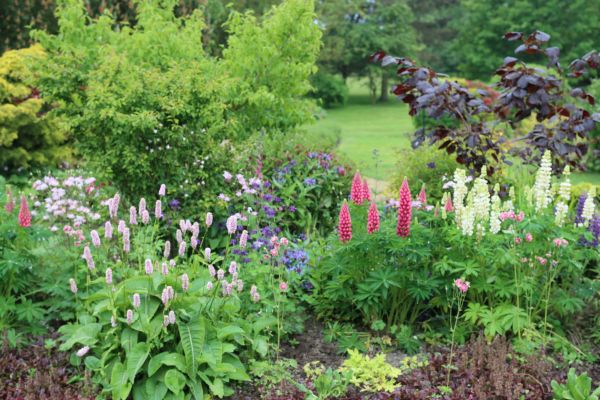 Flower Bed Planting in Manchester