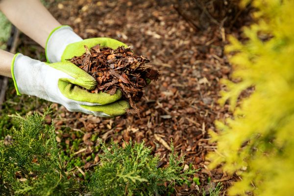 Garden Mulch Delivery in Manchester