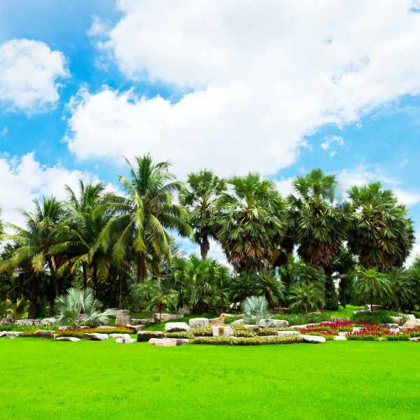 Tropical Landscaping in Manchester