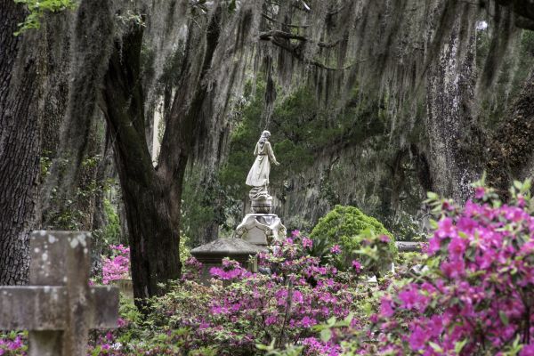Cemetery Landscaping in Manchester