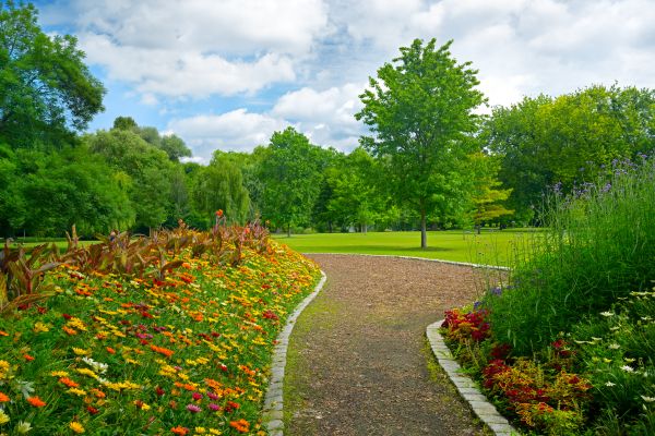 Park Landscaping in Manchester