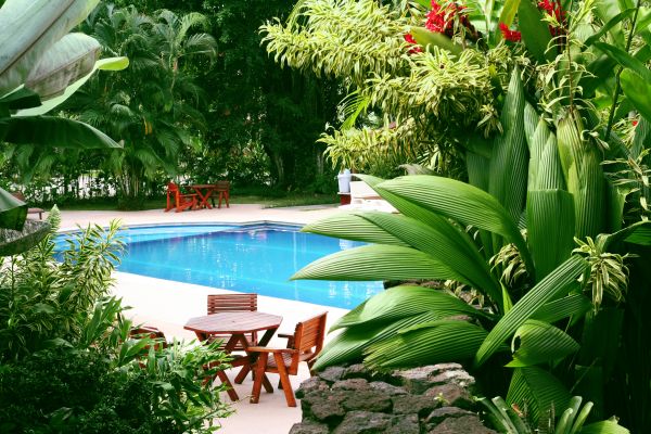 Tropical Garden Landscaping in Manchester