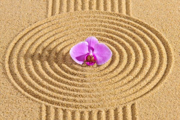 Sand Garden Landscaping in Manchester