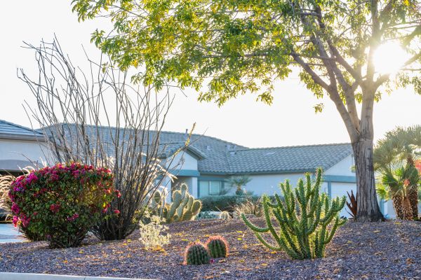 Dryscape Landscaping in Manchester