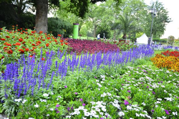 Perennials Planting in Manchester