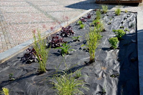Landscape Fabric Installation in Manchester