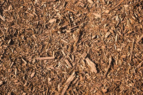 Wood Chips Removal in Manchester