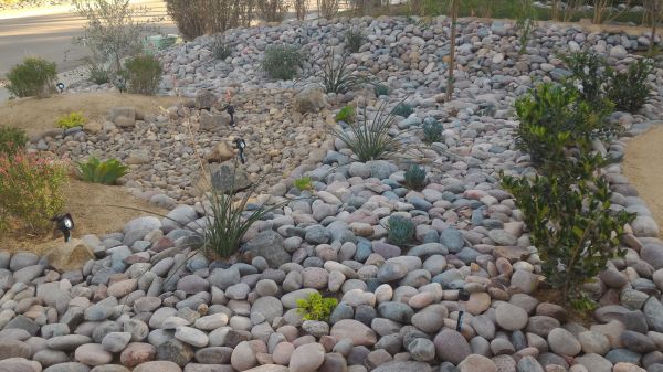 Yard Xeriscaping in Manchester