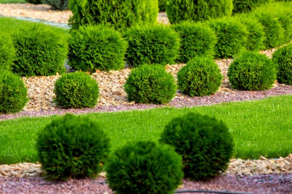 Bush Replacement in Manchester