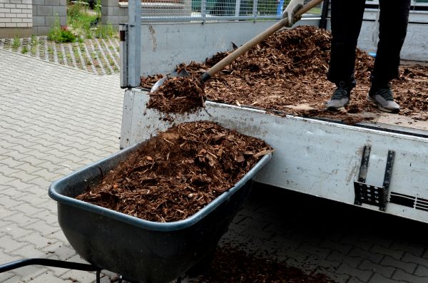Cedar Mulch Delivery in Manchester
