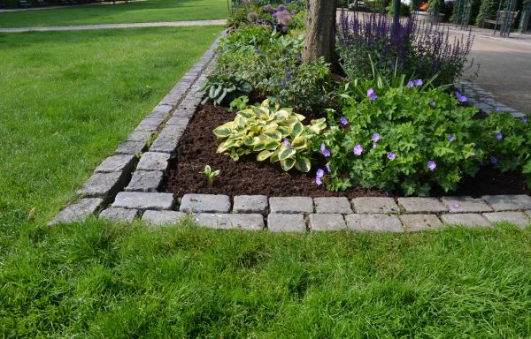 Flower Bed Mulching in Manchester