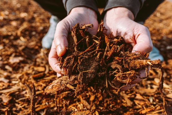 Bark Chips Delivery in Manchester