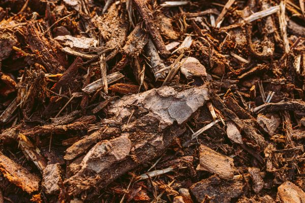 Bark Mulch Delivery in Manchester