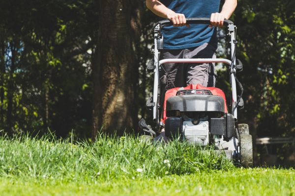 Garden Trimming Service in Manchester