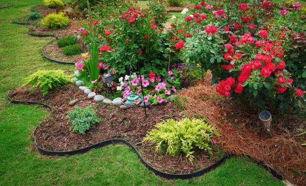 Floral Landscaping in Manchester