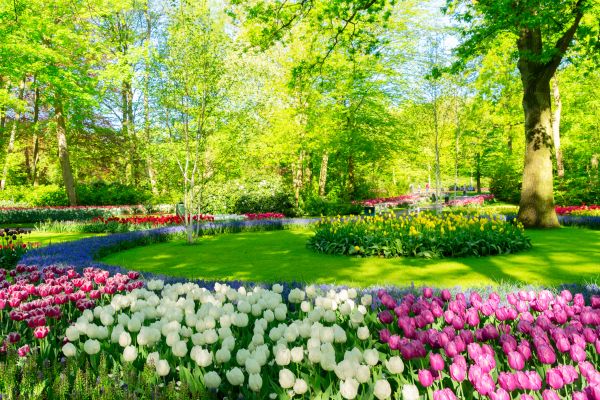 Flower Landscaping in Manchester
