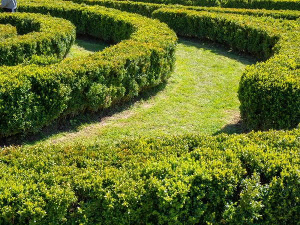 Bush Landscaping in Manchester