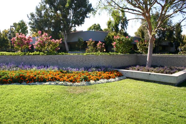 Commercial Landscape Service in Manchester