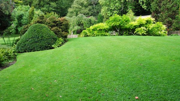 Commercial Landscape Design in Manchester