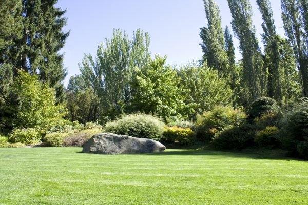 Yard Enlargement in Manchester