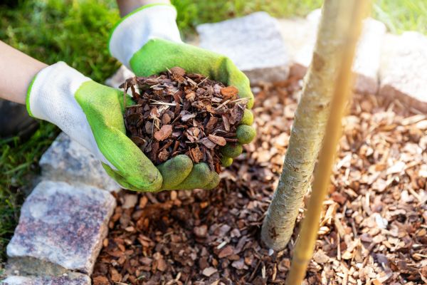 Tree Bark Delivery in Manchester