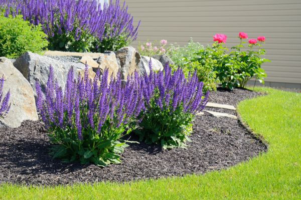 Landscape Planting Service in Manchester