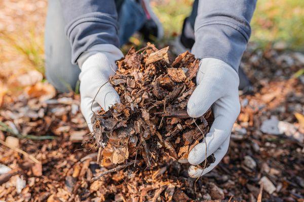 Shredded Mulch Installation in Manchester