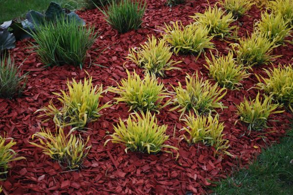 Red Mulch Installation in Manchester