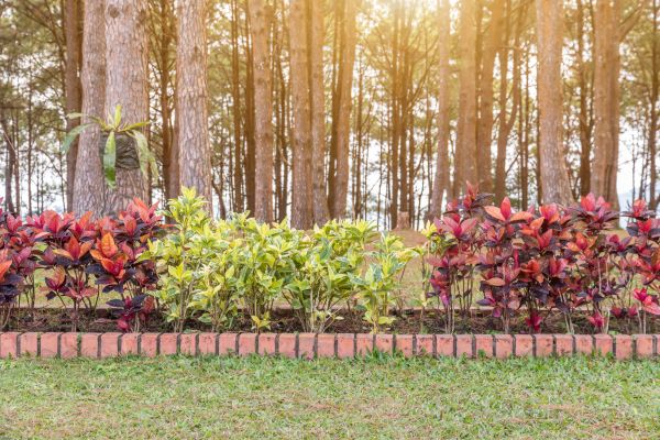 Small Garden Landscaping in Manchester