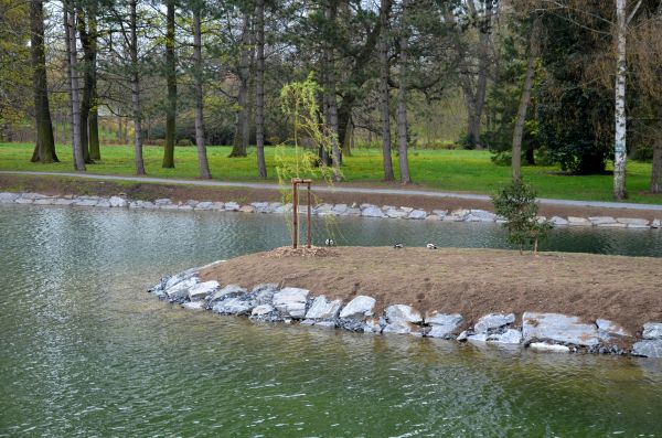Pond Landscaping Service in Manchester